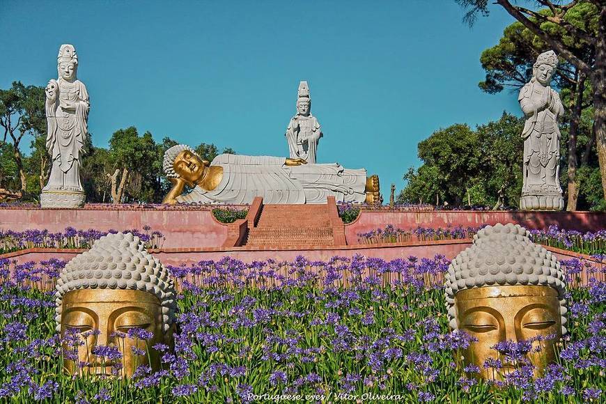 Place Bacalhôa Buddha Eden