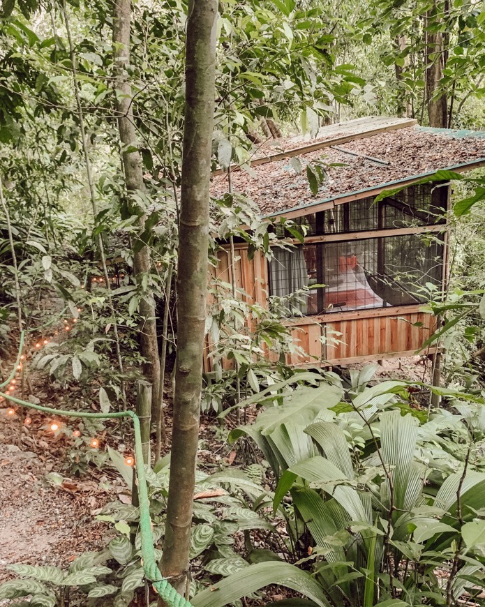 Lugar Jungle Dream Cabin, Manuel Antonio 