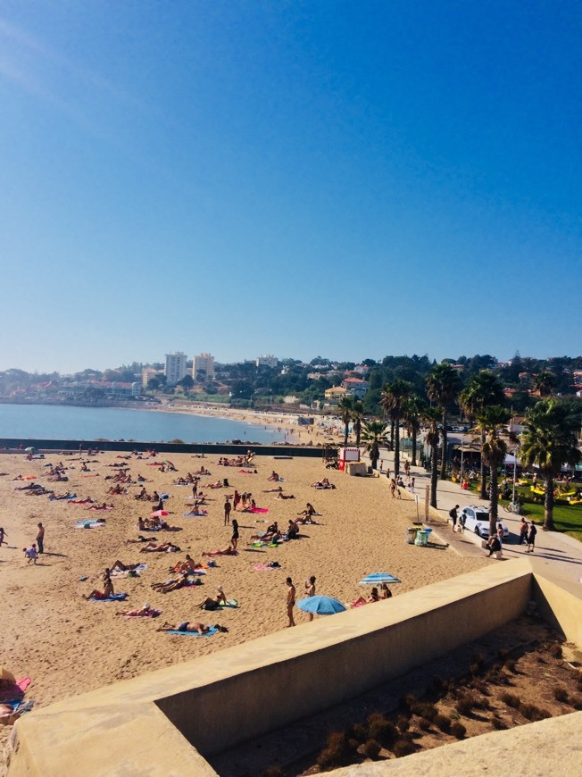 Place Baía dos Golfinhos