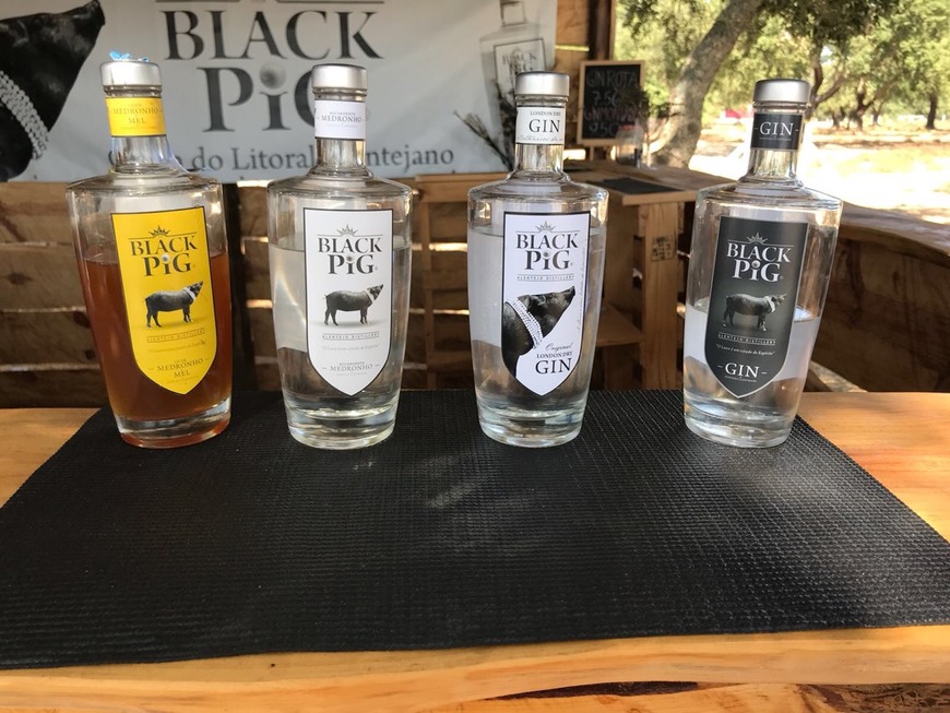 Lugar Destilaria Gin Black Pig