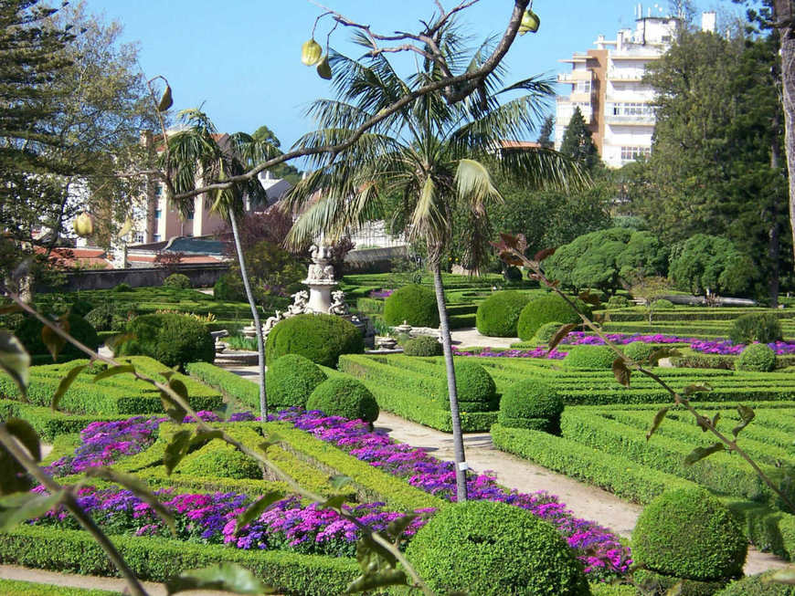 Lugar Jardim botânico