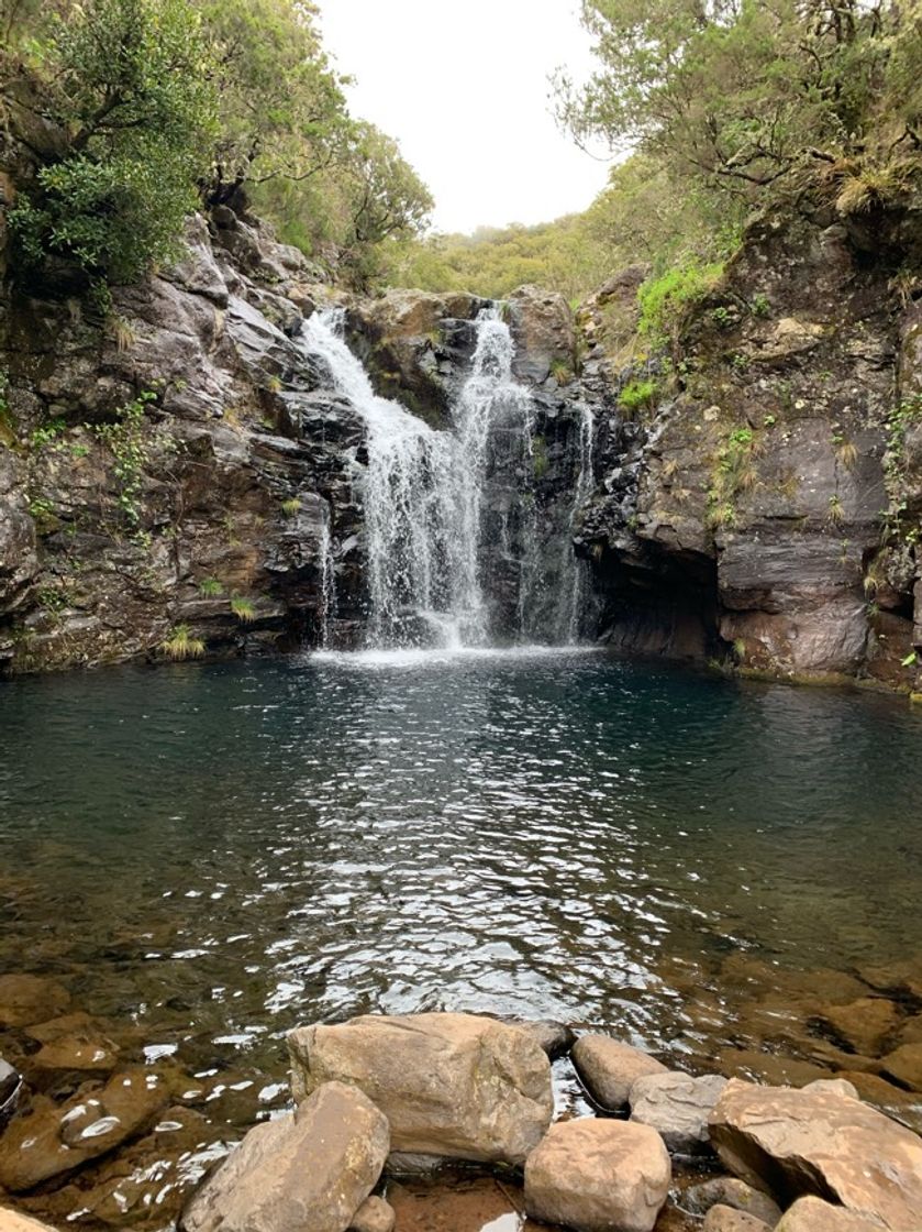 Moda PR 6.2 Levada do Alecrim (Rabaçal - Lagoa da "Dona Beja")