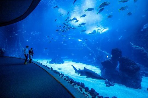 Canteras Aquarium