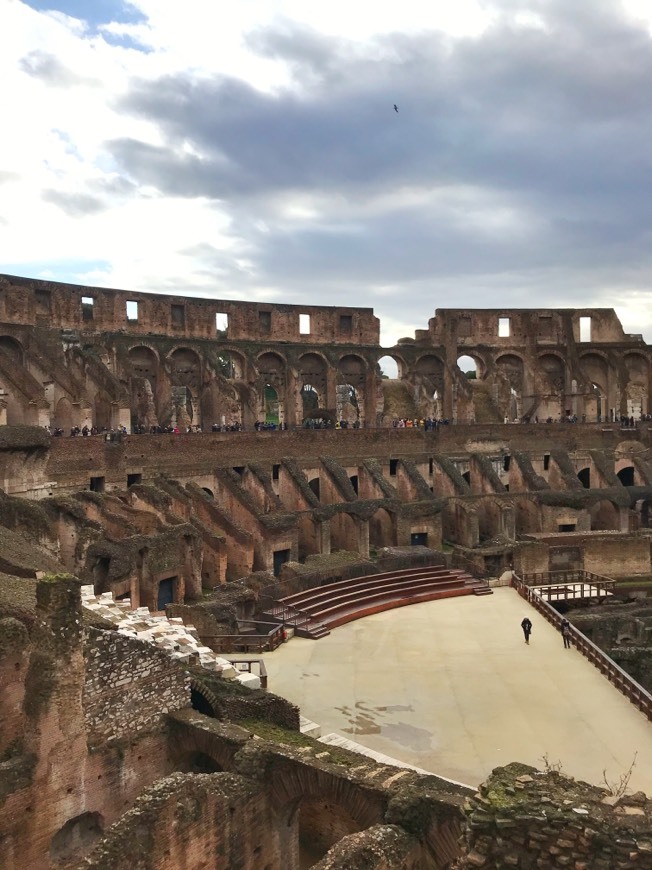 Coliseo de Roma