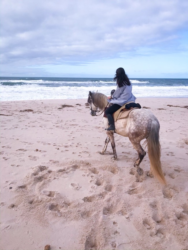 Lugar Lusitano Trail Rides