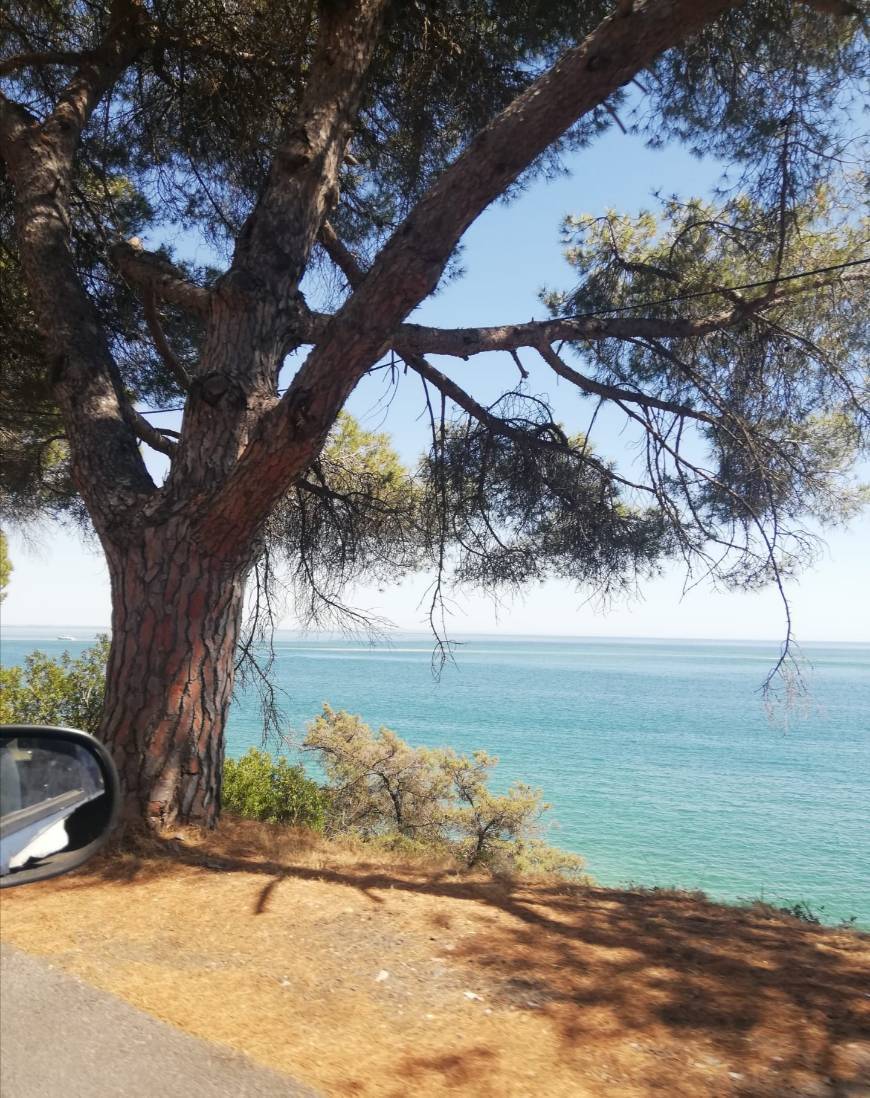 Place Serra de Arrábida