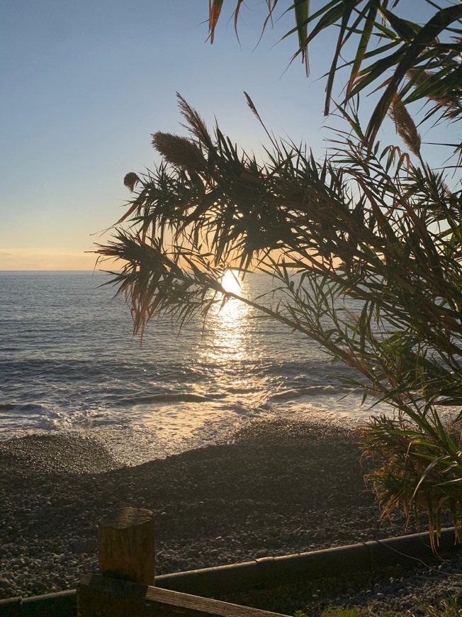 Madeira