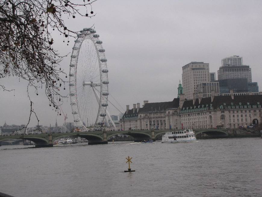 Place London Eye