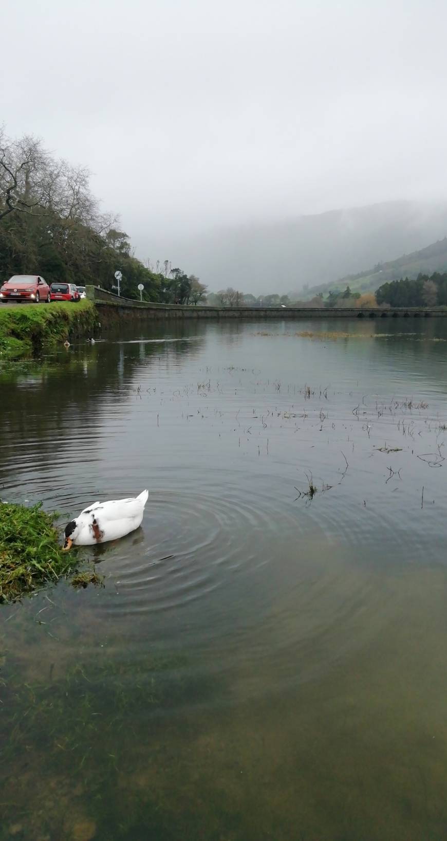 Lugar Lagoa das Sete Cidades