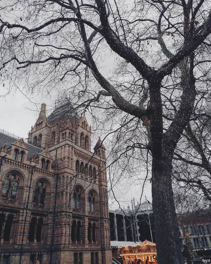 Natural History Museum