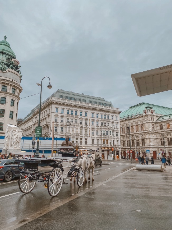 Lugar Vienna Operahouse