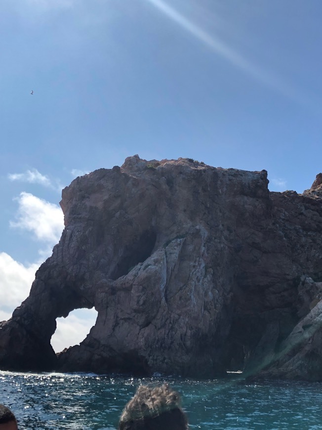 Berlenga Experience