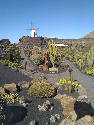 Jardín de Cactus de Lanzarote