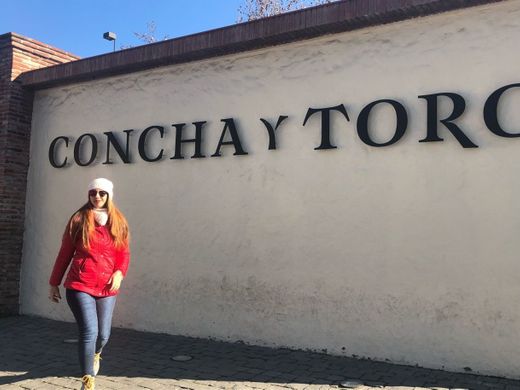 Concha y Toro vineyard