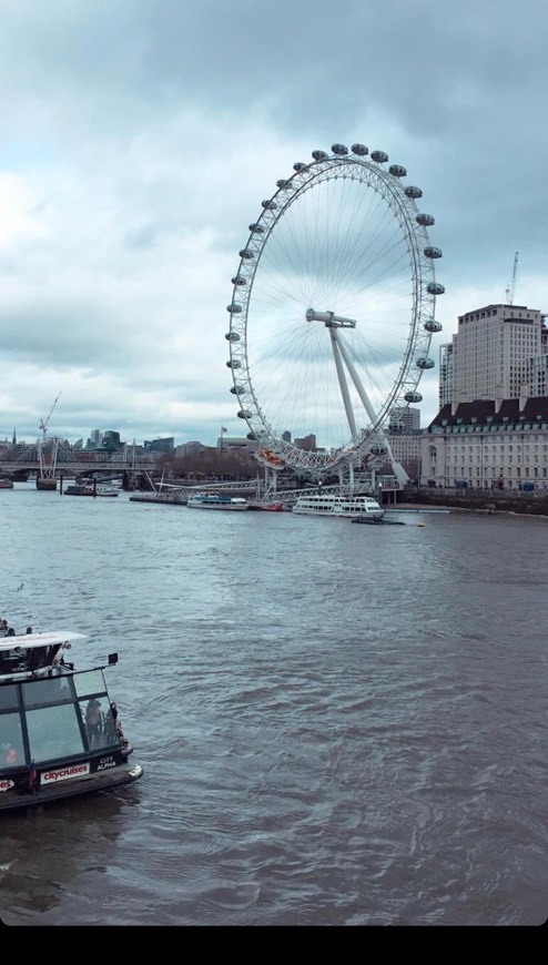 Place London Eye