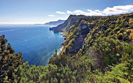 Madeira