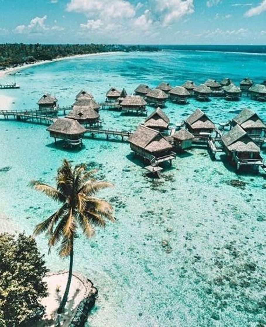 Place Maldive Islands