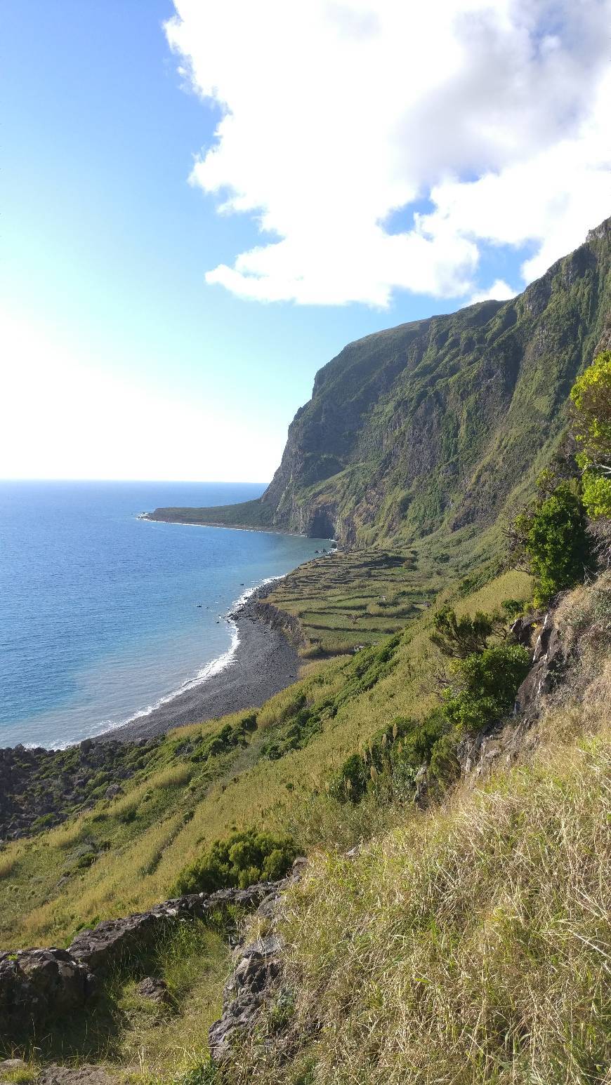 Lugar Lajes das Flores