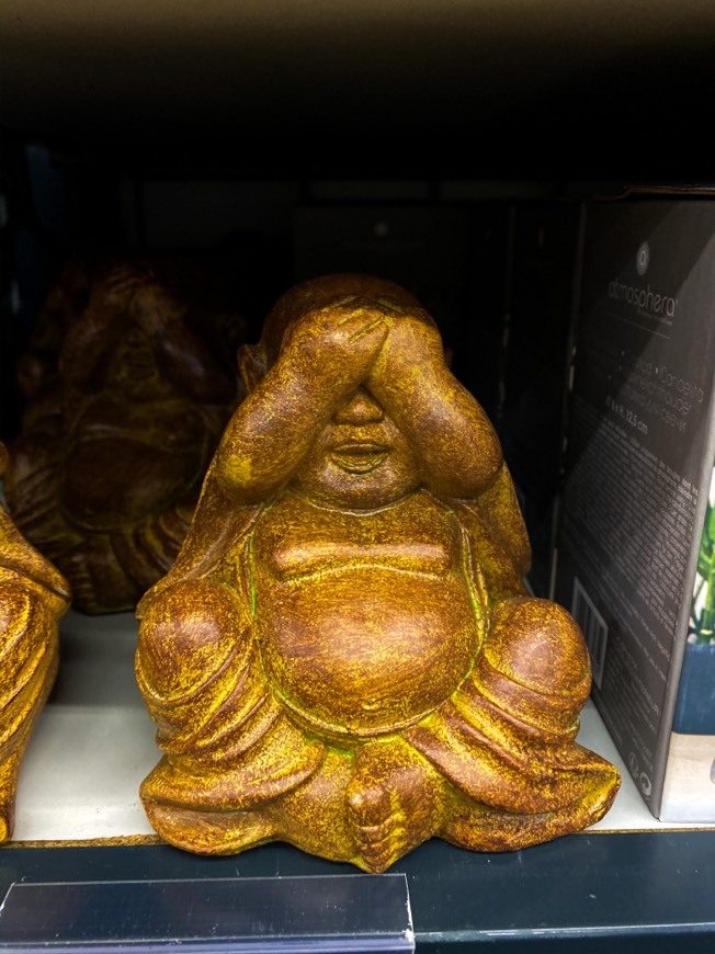 Social Wise Buddha 🤍