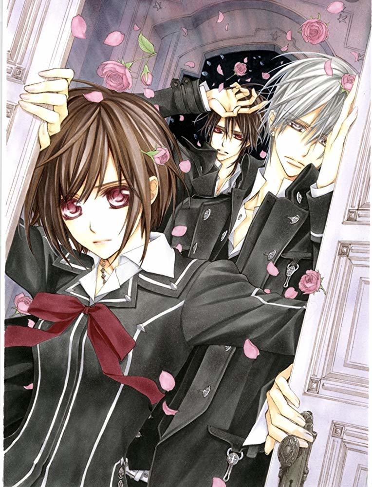 Serie Vampire Knight