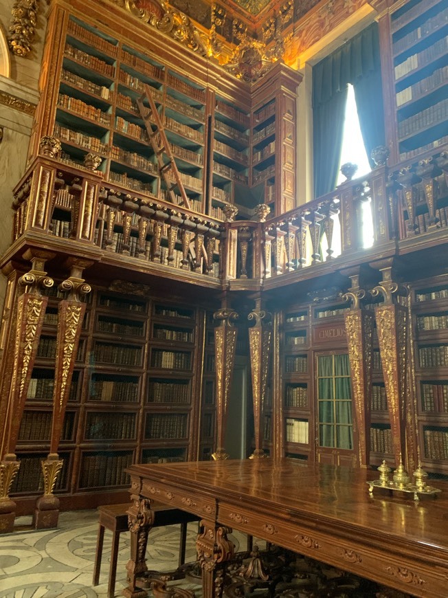 Lugar Biblioteca Joanina