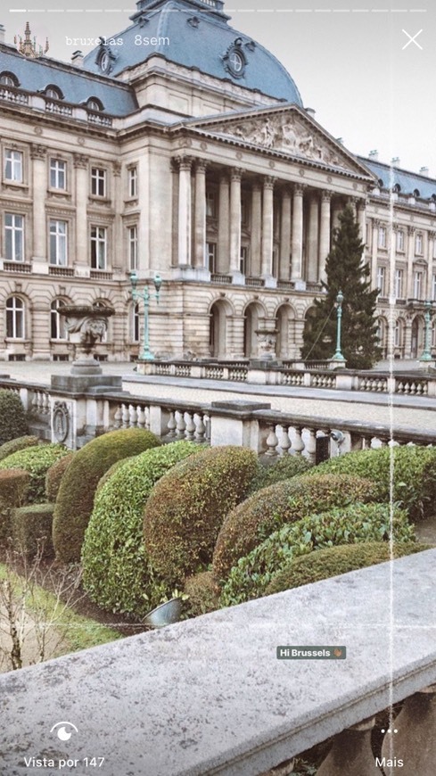 Place Palacio Real de Bruselas