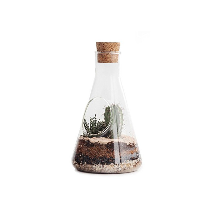 Producto Suck UK Chemistry Terrarium Kit Terrario de Laboratorio