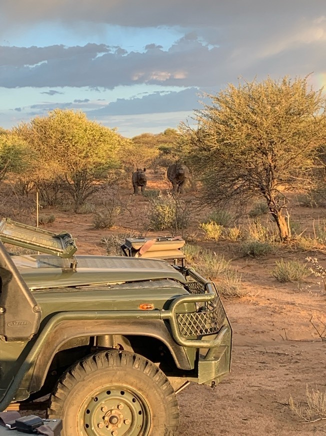 Place Erindi Private Game Reserve