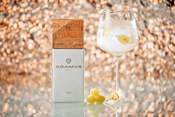 Productos Adamus Gin