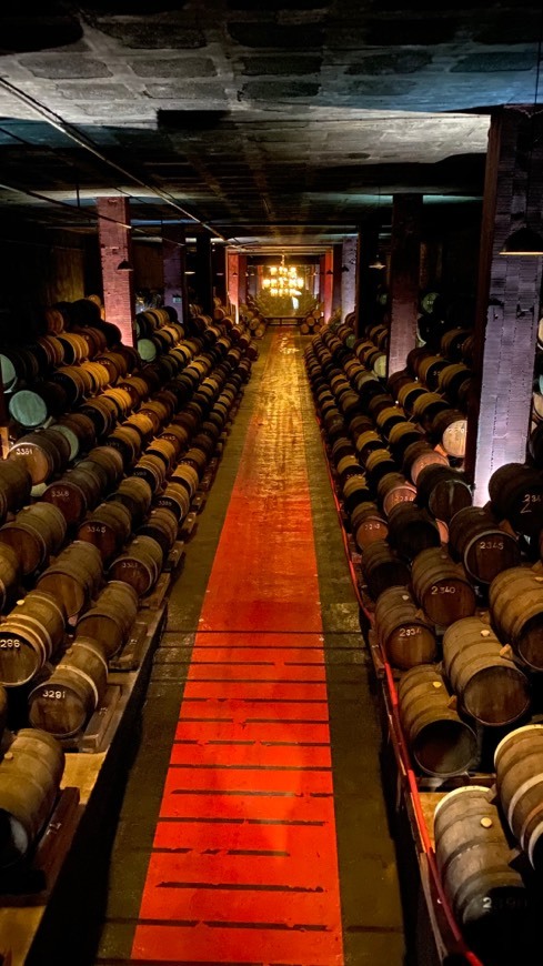 Aliança Underground Museum