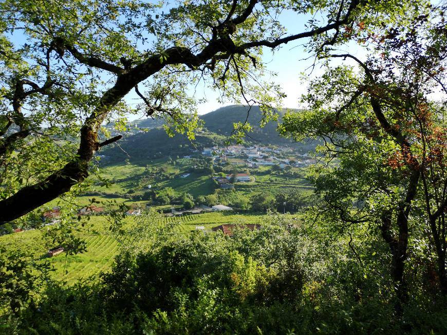 Place Arruda dos Vinhos