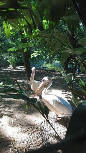 Zoo de Lourosa