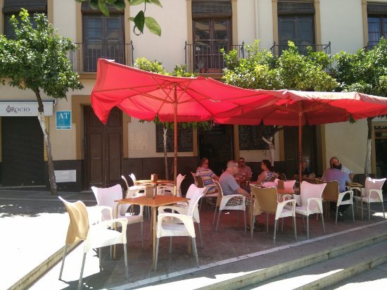 Restaurantes Cafe Bar El Jardin De Los Monos