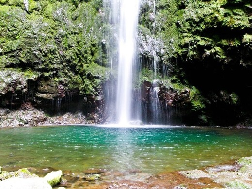 Caldeirão Verde