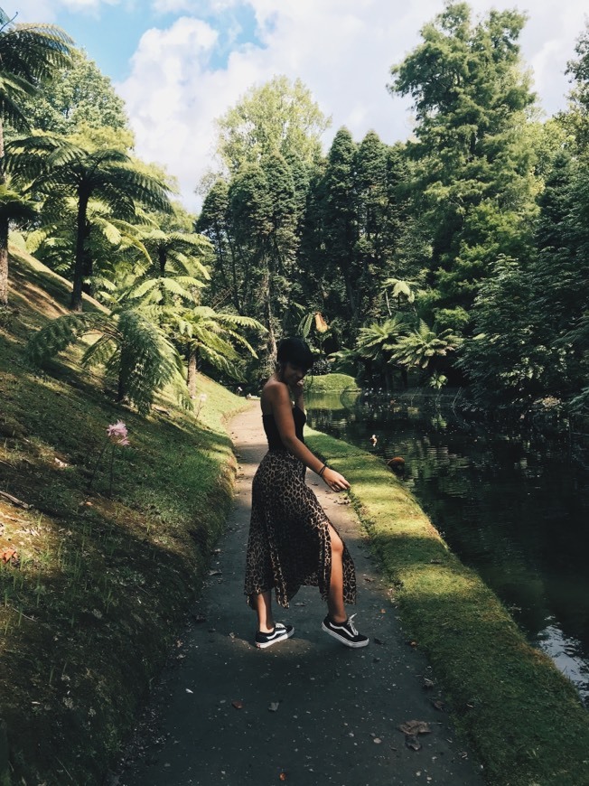 📸