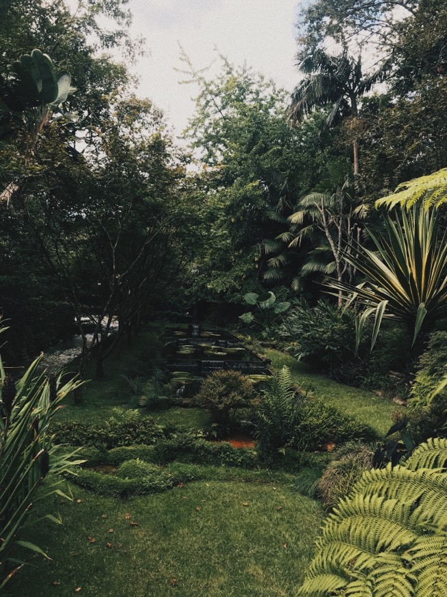 Parque Terra Nostra 💙