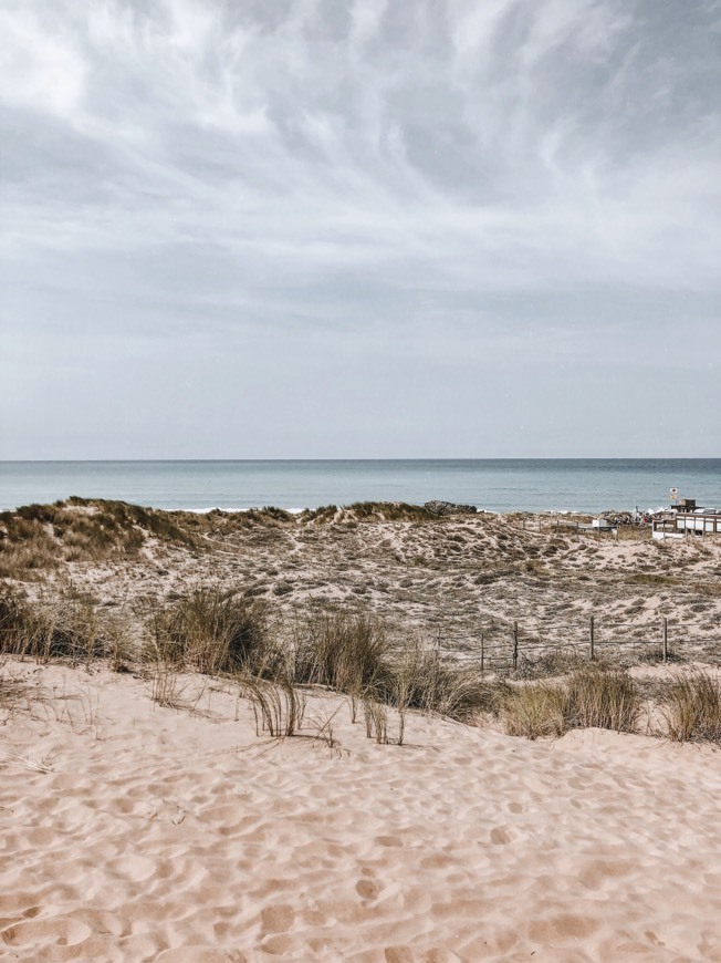 Lugar Parque Natural de las Dunas de Liencres