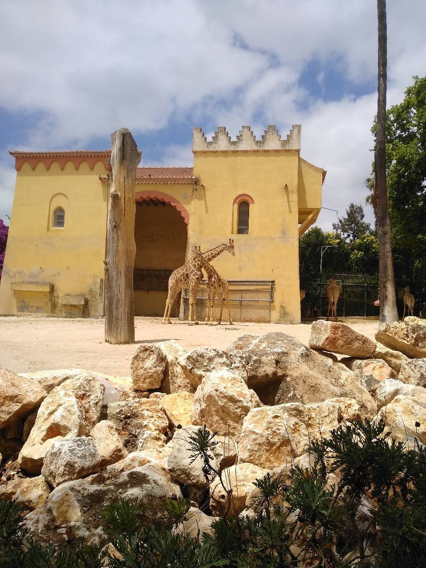 Place Jardim Zoológico de Lisboa