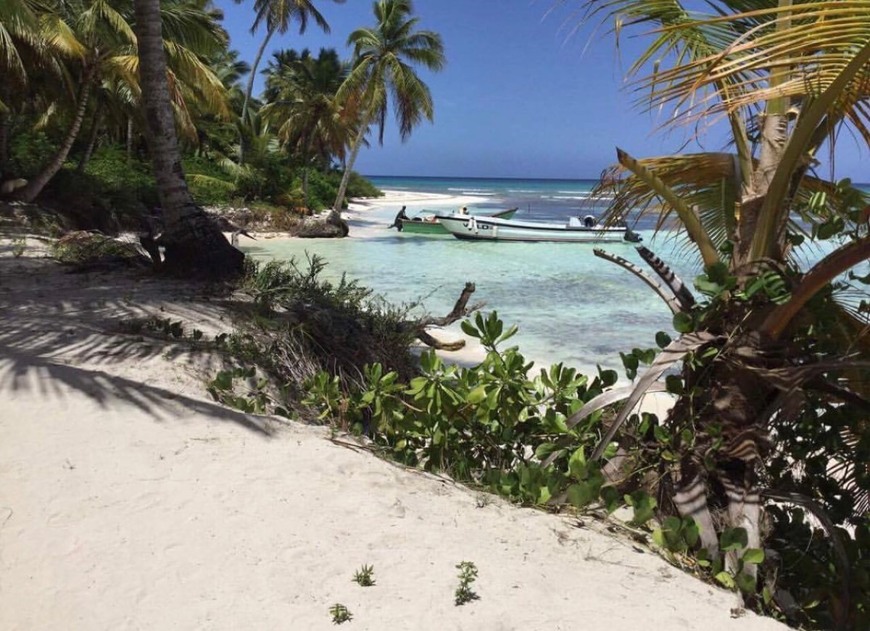 Moda ilha de saona 📍