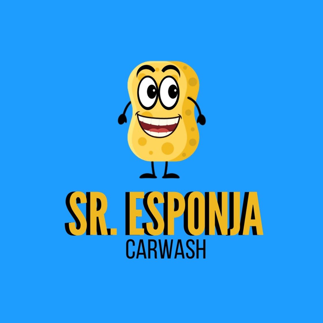 Fashion Sr Esponja Carwash 