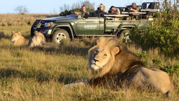 South Africa 