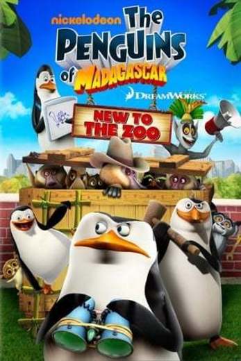 The Penguins of Madagascar: New to the Zoo