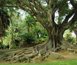 Lugar Jardim António Borges