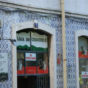 A Loja do Crocodilo