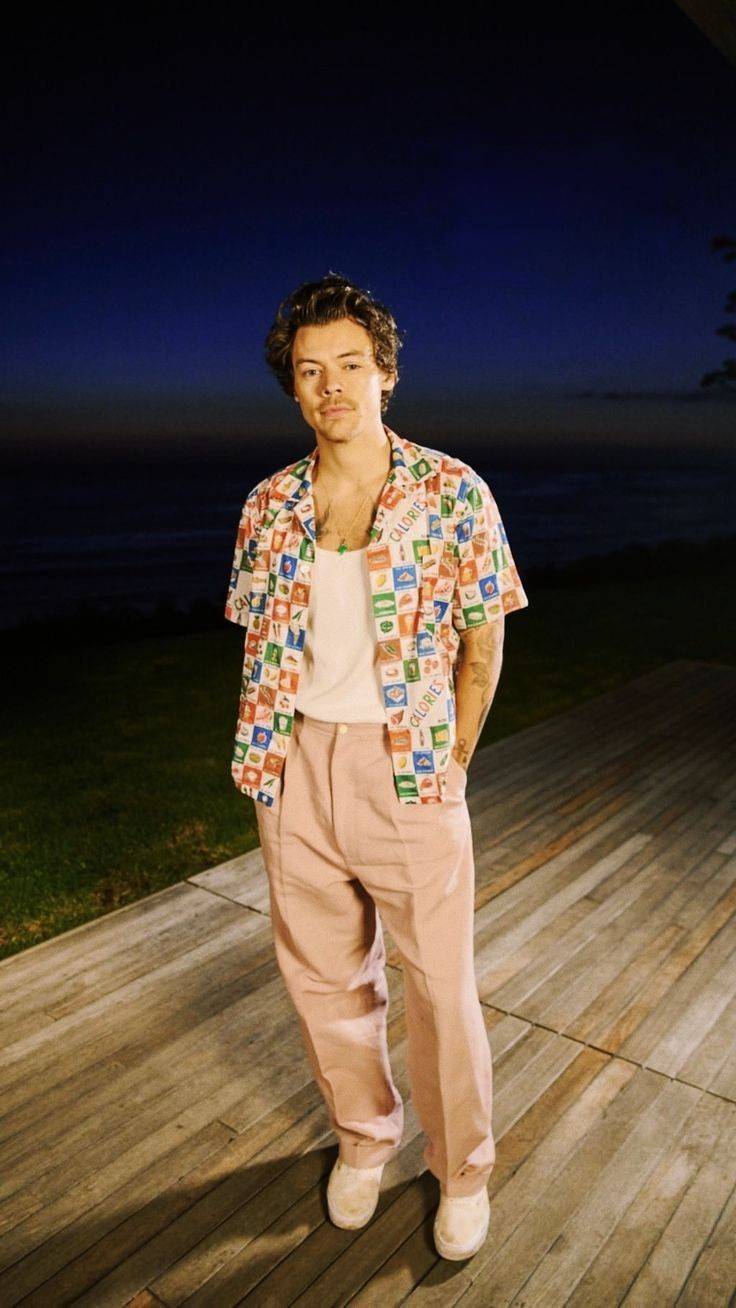 Fashion harry styles 