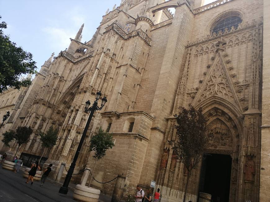 Place Catedral de Sevilla