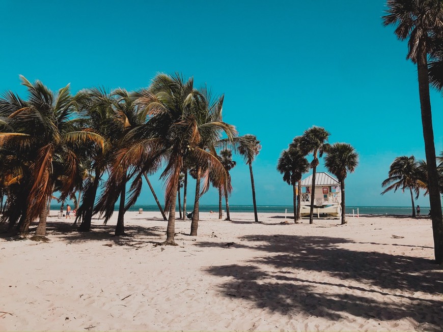 Lugar Crandon Park