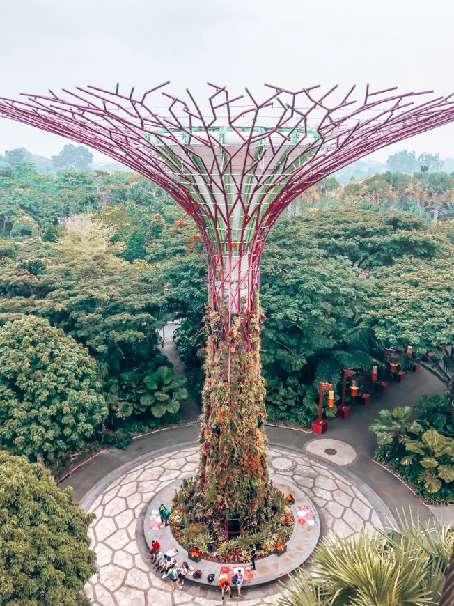 Lugar Gardens by the Bay