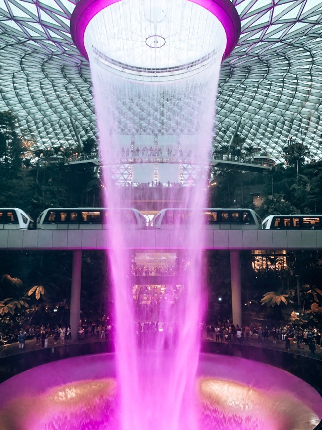 Lugar Singapore Changi Airport (SIN)