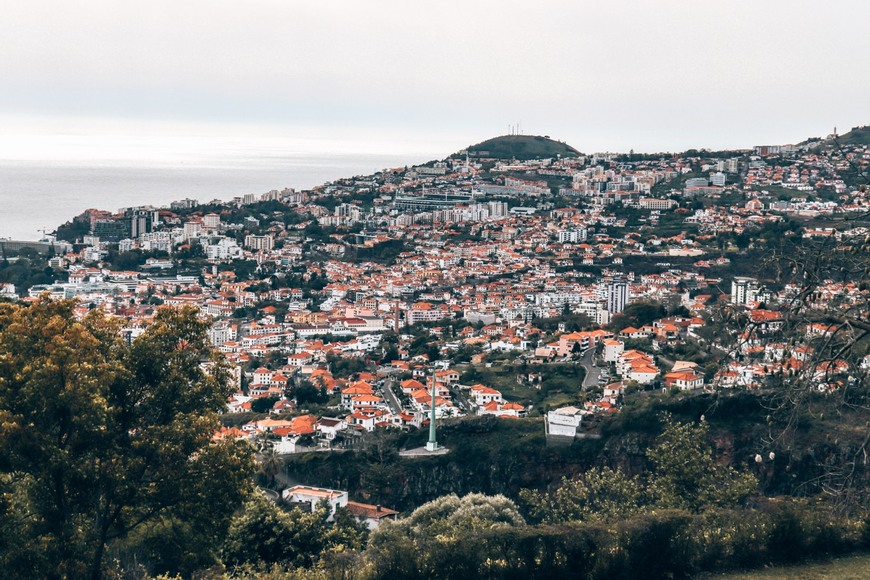 Place Jardín Botánico de Madeira